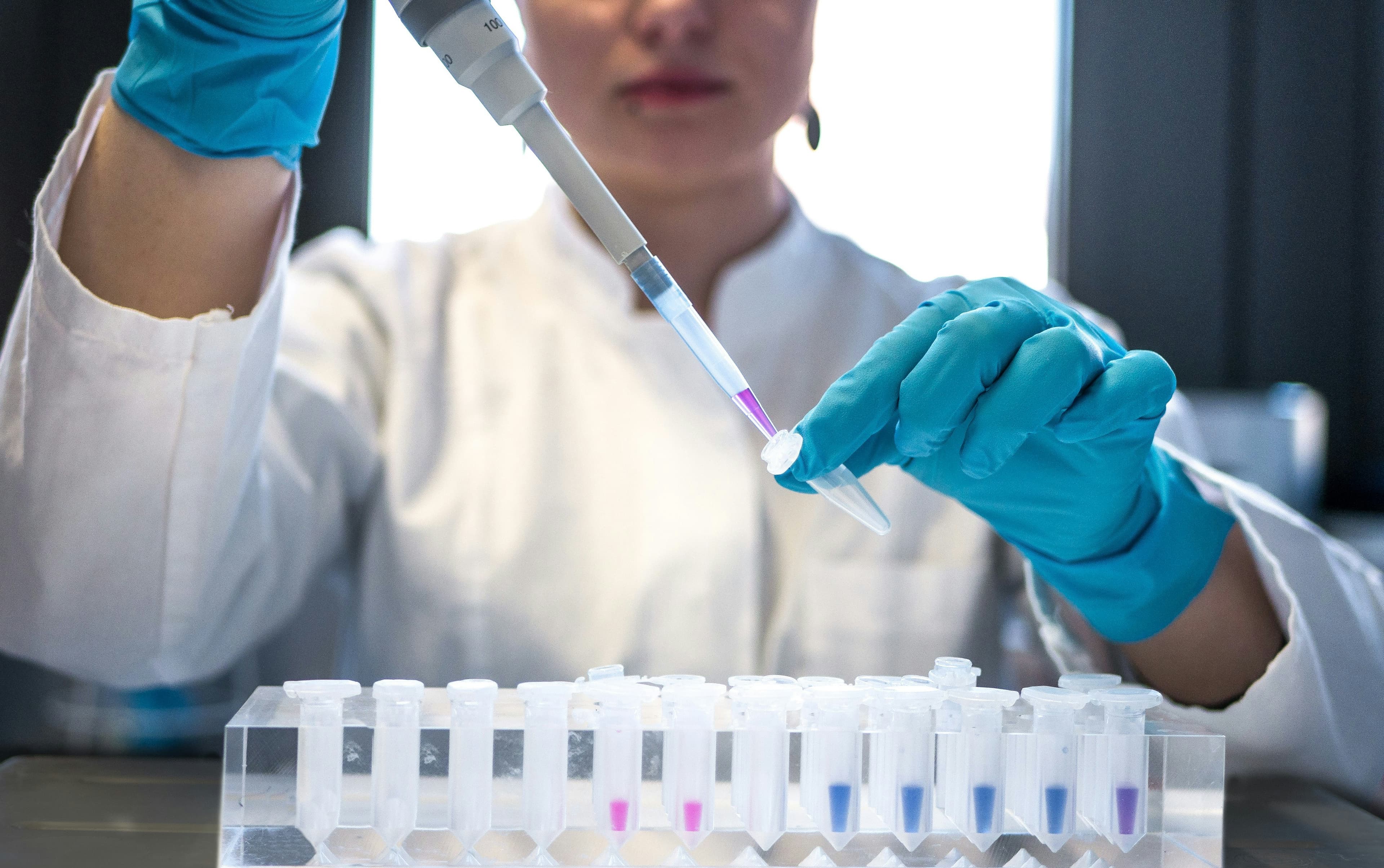 Investigadora en laboratorio pipeteando muestras en tubos de ensayo